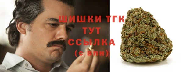 твердый Горняк